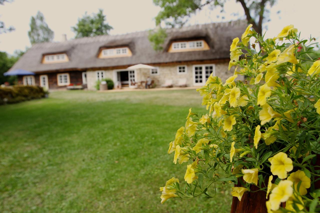 Metsara B & B Tornimae Екстер'єр фото