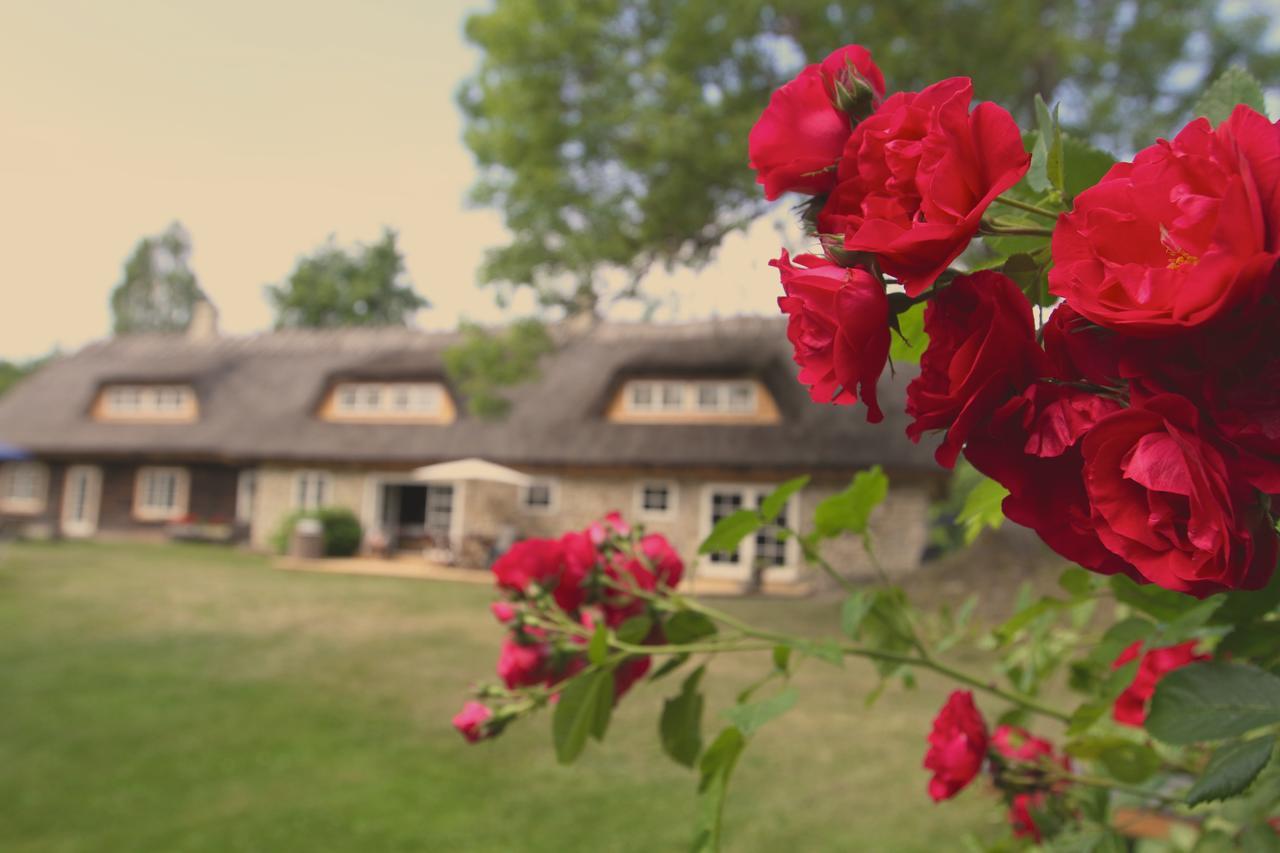 Metsara B & B Tornimae Екстер'єр фото